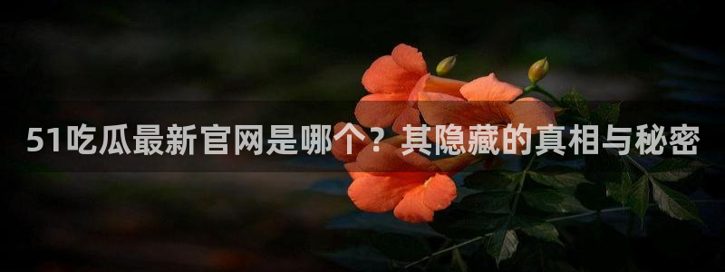 吃瓜下载：51吃瓜最新官网是哪个？其隐藏的真相与秘密