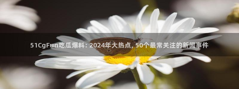 吃瓜电影