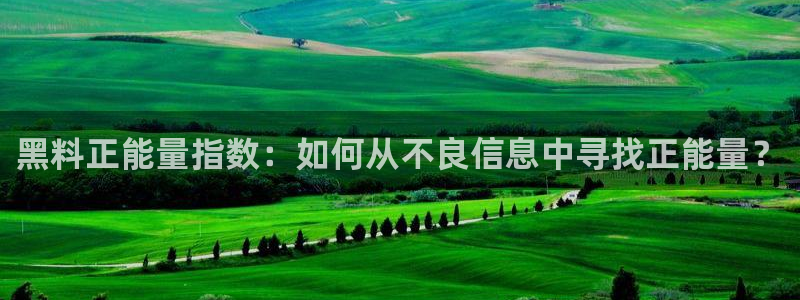 各种网红爆料吃瓜：黑料正能量指数：如何从不良信息中寻找正能量？