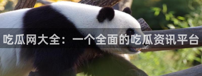 51cg热门大瓜今日吃瓜：吃瓜网大全：一个全面的吃瓜资讯平台