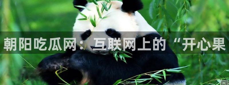 51吃瓜最新官网是多少：朝阳吃瓜网：互联网上的“开心果