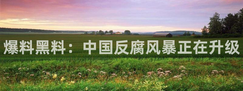51吃瓜网热门黑料：爆料黑料：中国反腐风暴正在升级