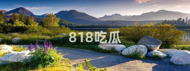 吃瓜事件：818吃瓜