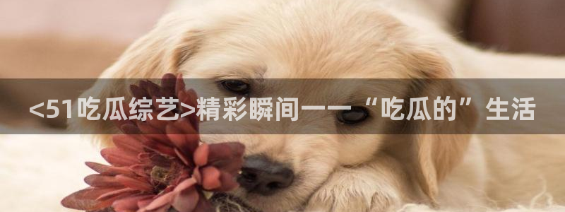 51吃瓜今日吃瓜在线