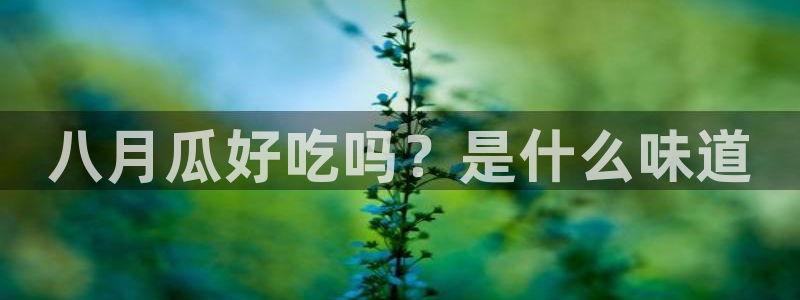 51吃瓜今日吃瓜入口