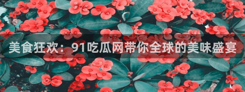 吃瓜去哪个网：美食狂欢：91吃瓜网带你全球的美味盛宴
