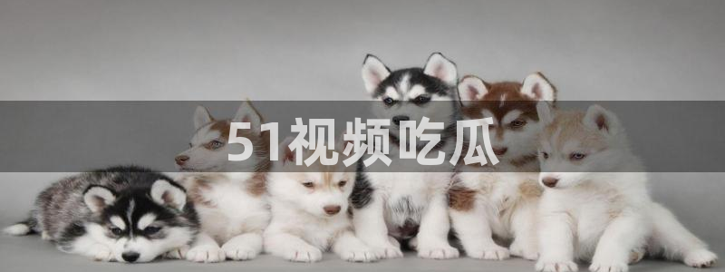 51吃瓜网ccgg：51视频吃瓜