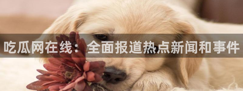 718.sⅹ 吃瓜：吃瓜网在线：全面报道热点新闻和事件