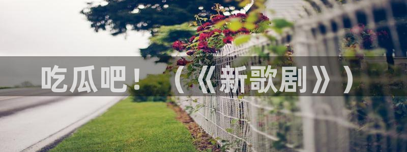 黑料曝光：吃瓜吧！（《新歌剧》）