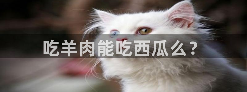 1吃瓜