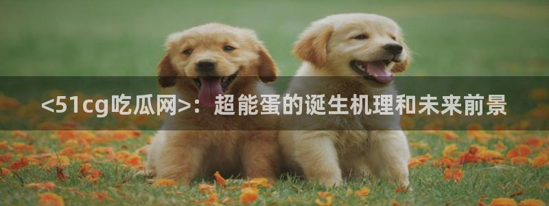 吃瓜最新