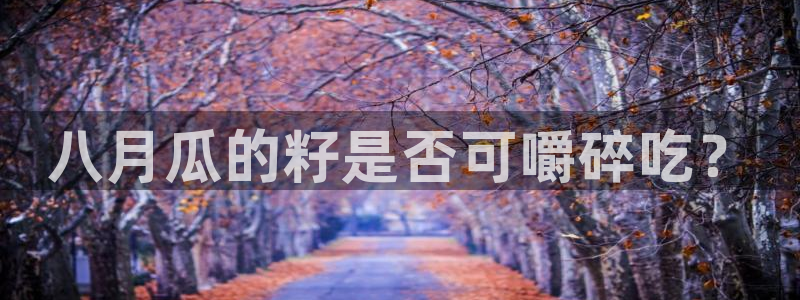 51吃瓜全网最快的吃瓜网站