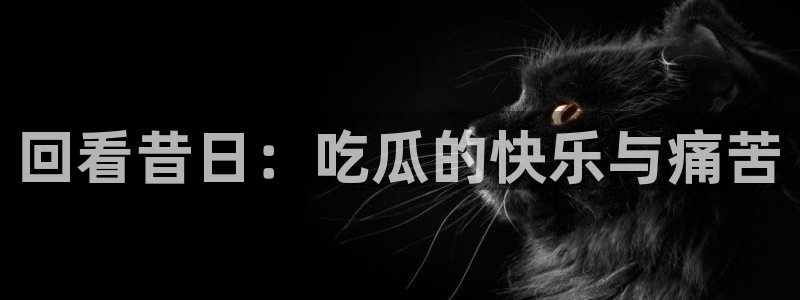 高血糖可以吃贝贝瓜吗