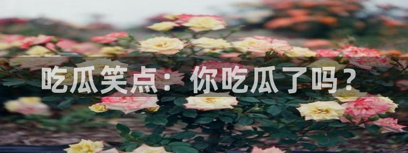 www.黑料.com