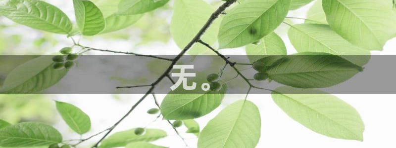 网站吃瓜