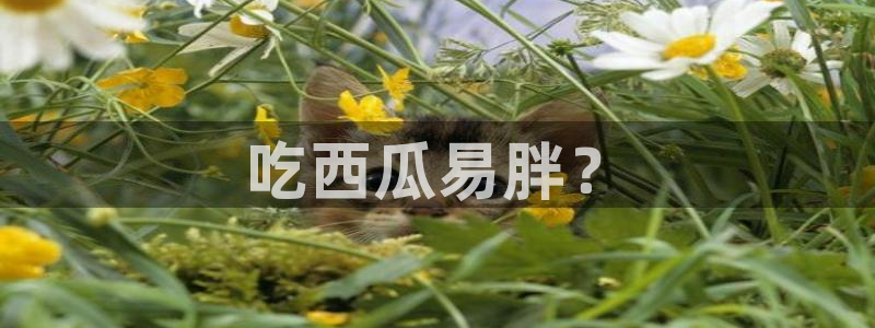 51吃瓜全网更新最快点