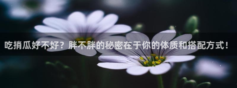 51吃瓜网51今日大大瓜