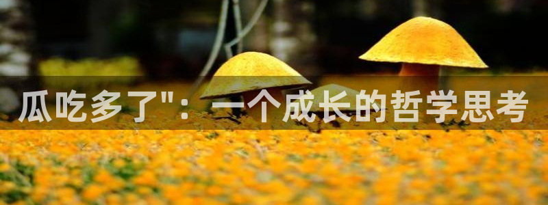 51吃瓜张津瑜
