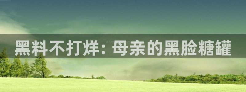 废太子在七零吃瓜看戏:黑料不打烊: 母亲的黑脸糖罐