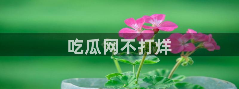 黑料:吃瓜网不打烊